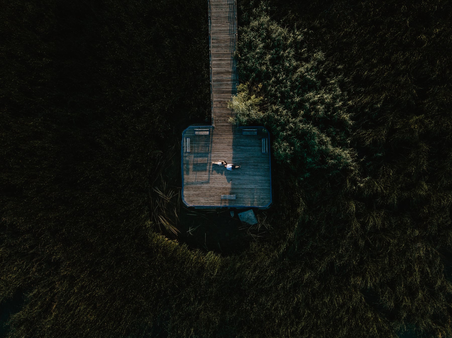 Szerelmes jegyespár a nádasban.